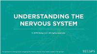 Understanding the Nervous System